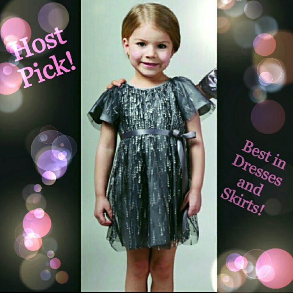 Halabaloo NWT Silver Gray Sparkle Holiday Dress
